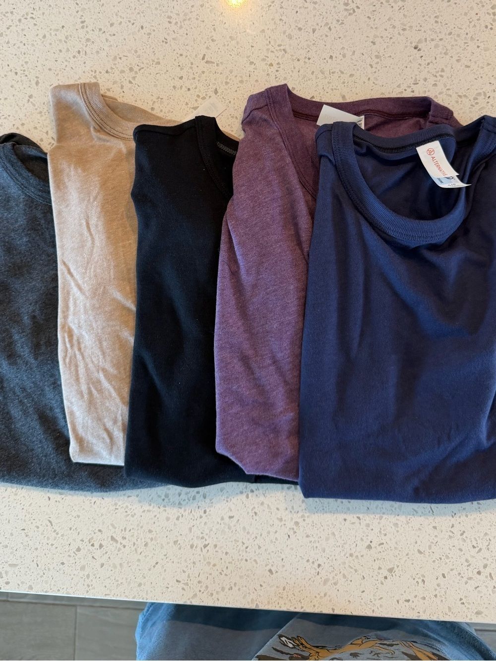 Alternative Apparel 5-Pack Keeper Crewneck Tees Black/Navy/Plum/Tan/Charcoal S